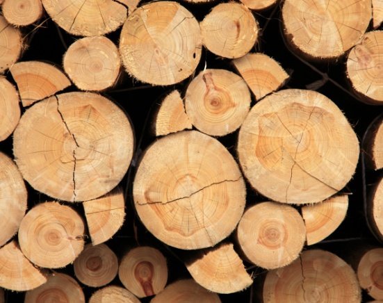 Vybíráme to nejkvalitnější dřevo
